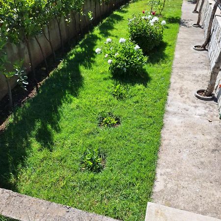Apartment Slobo Trebin Dış mekan fotoğraf