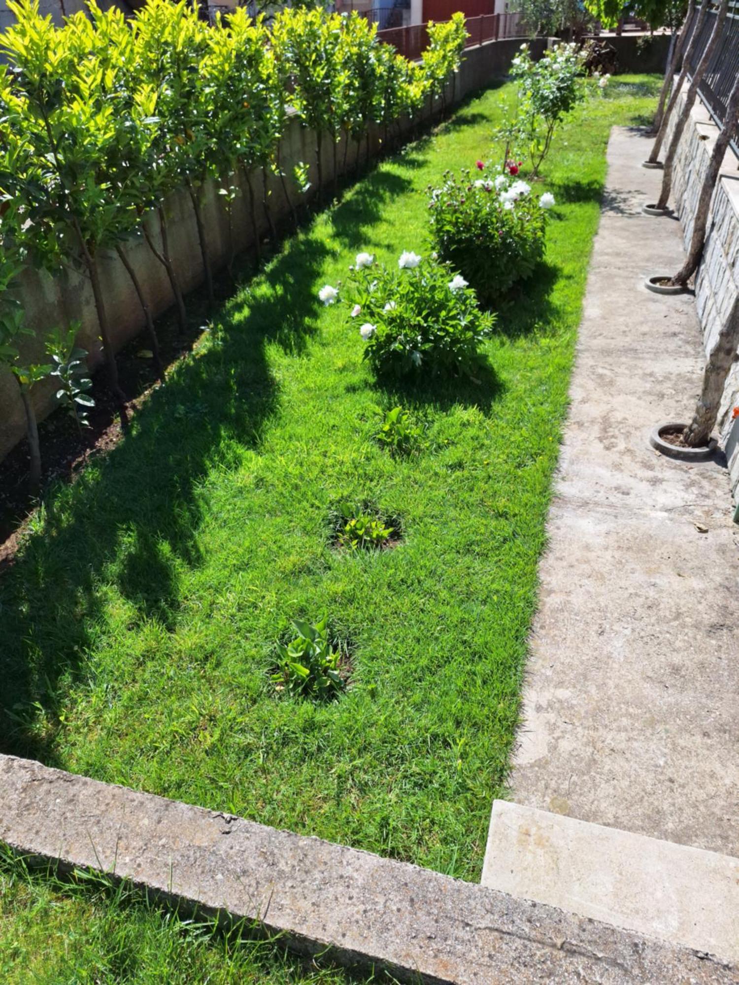 Apartment Slobo Trebin Dış mekan fotoğraf